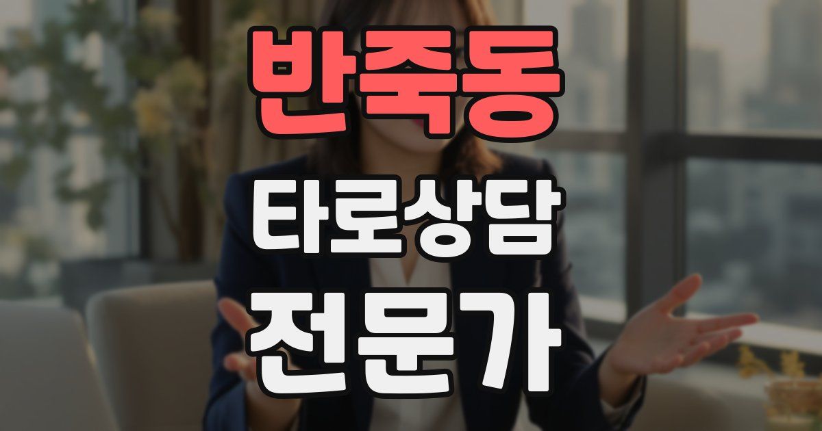 반죽동 타로상담전문가 자격증