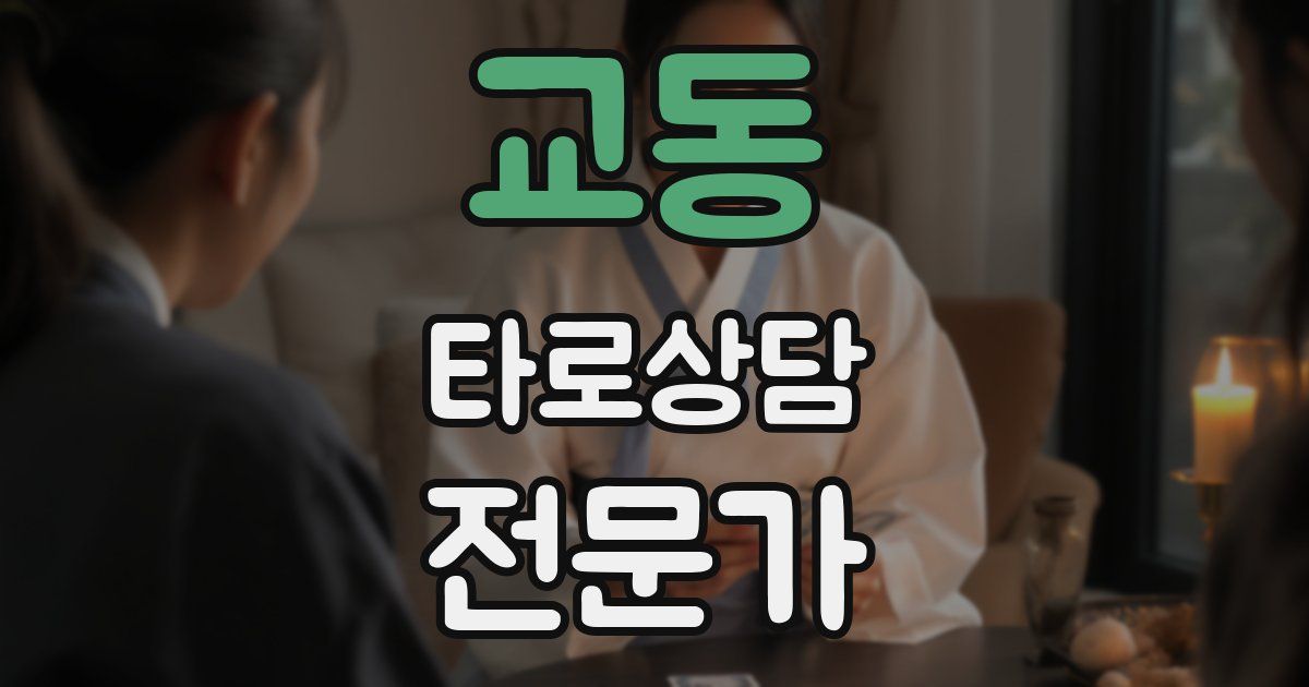 교동 타로상담전문가 자격증