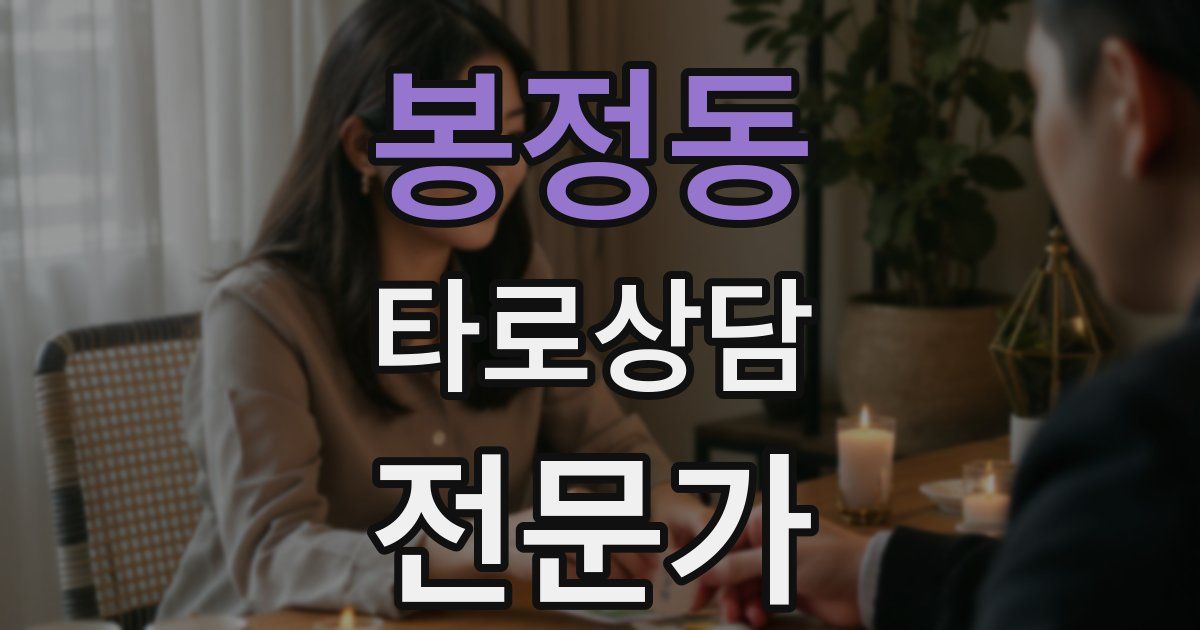 봉정동 타로상담전문가 자격증