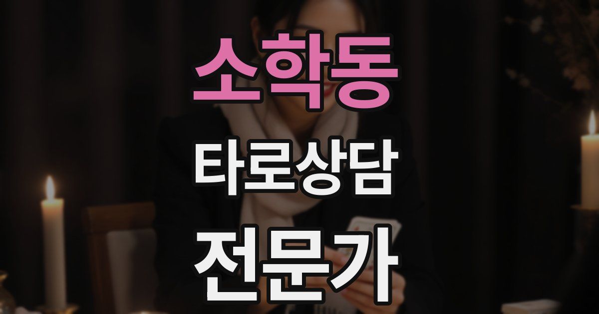 소학동 타로상담전문가 자격증