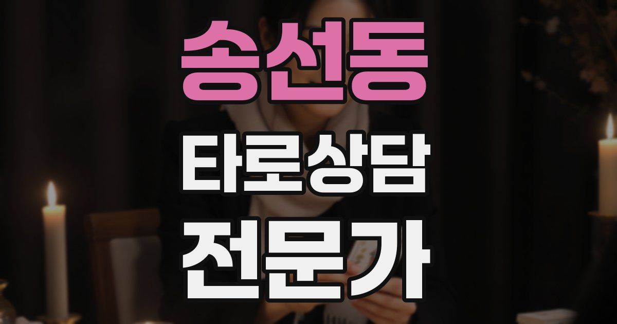 송선동 타로상담전문가 자격증