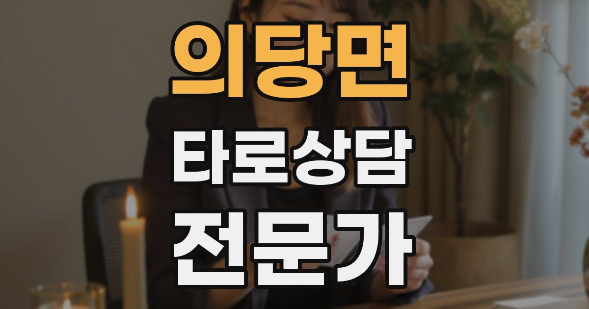 의당면 타로상담전문가 자격증