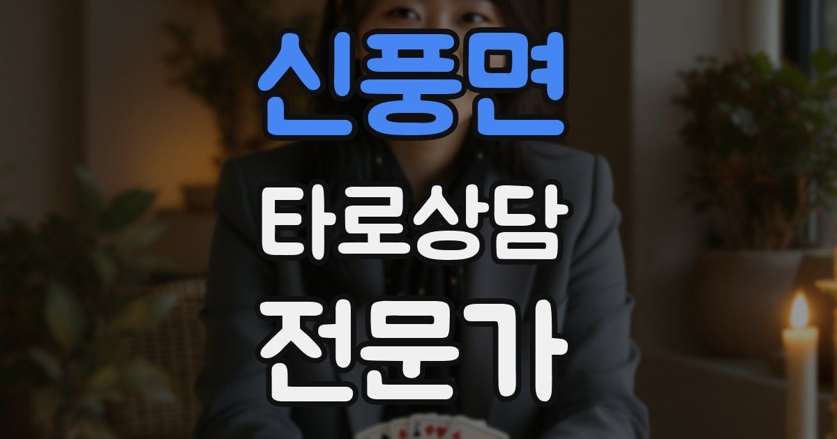 신풍면 타로상담전문가 자격증