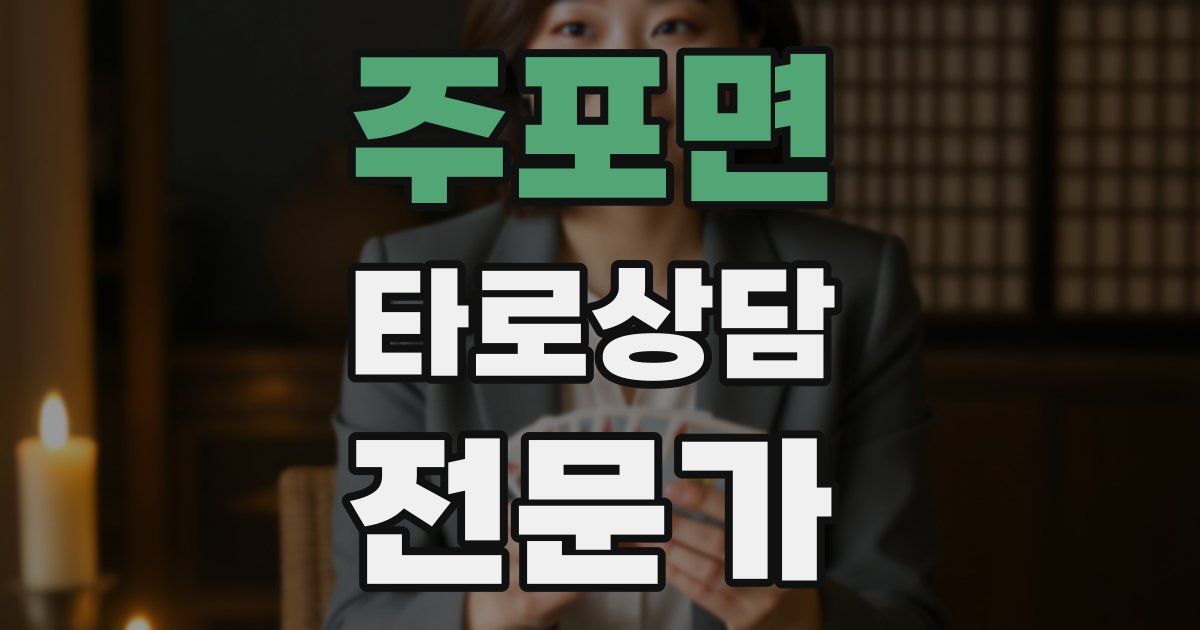 주포면 타로상담전문가 자격증