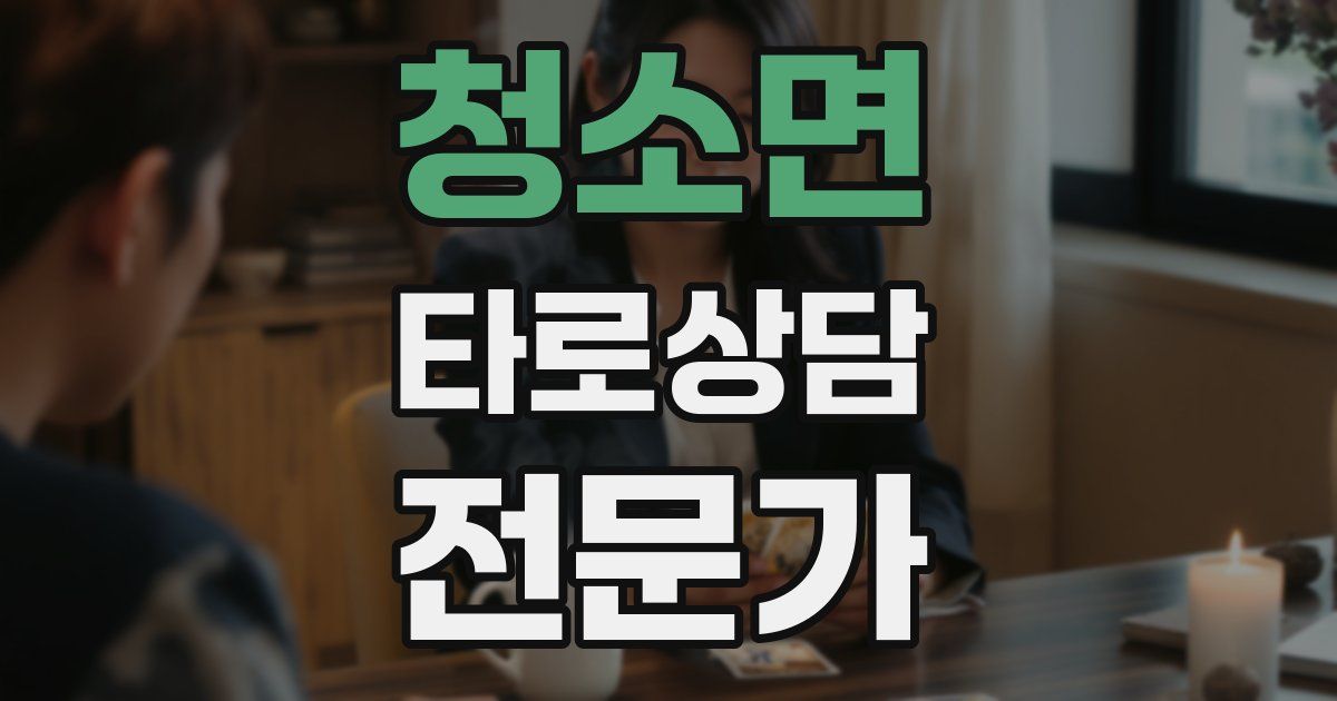 청소면 타로상담전문가 자격증
