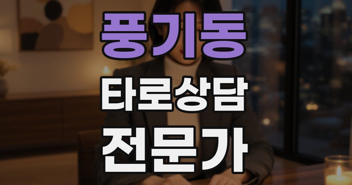 풍기동 타로상담전문가 자격증
