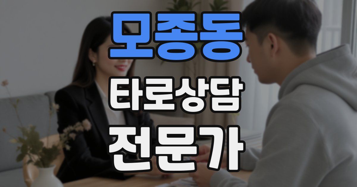 모종동 타로상담전문가 자격증