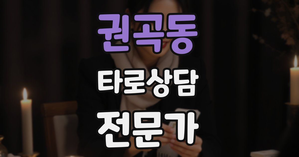 권곡동 타로상담전문가 자격증