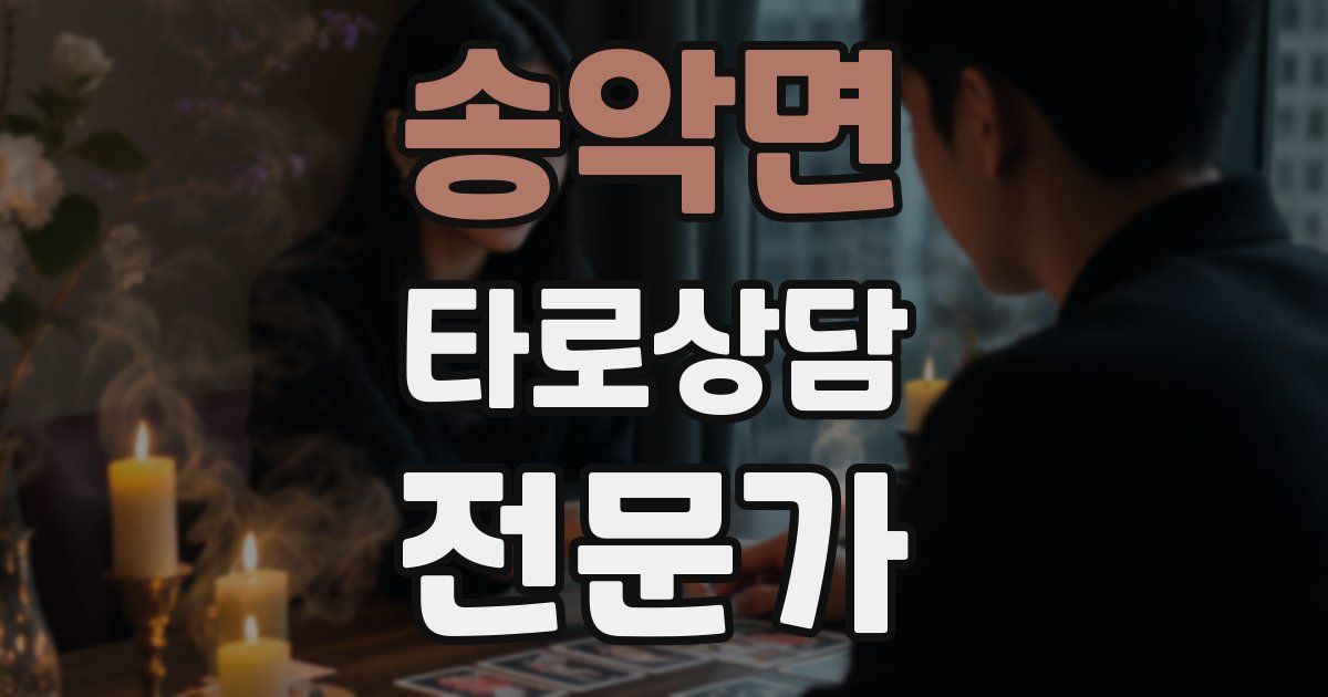 송악면 타로상담전문가 자격증