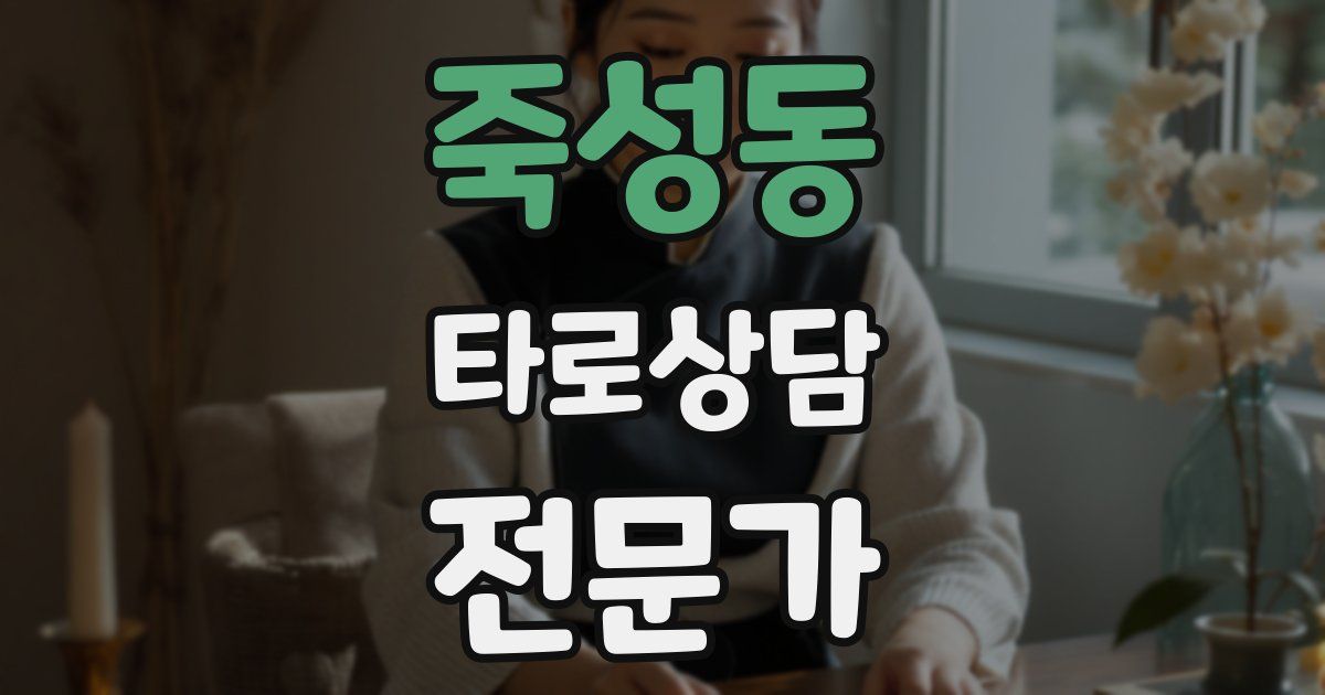 죽성동 타로상담전문가 자격증
