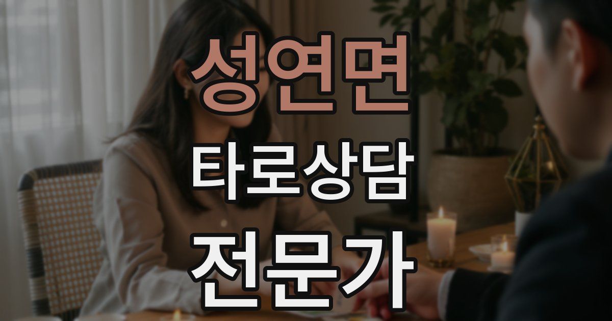 성연면 타로상담전문가 자격증
