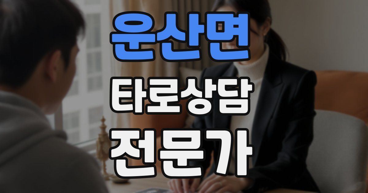 운산면 타로상담전문가 자격증