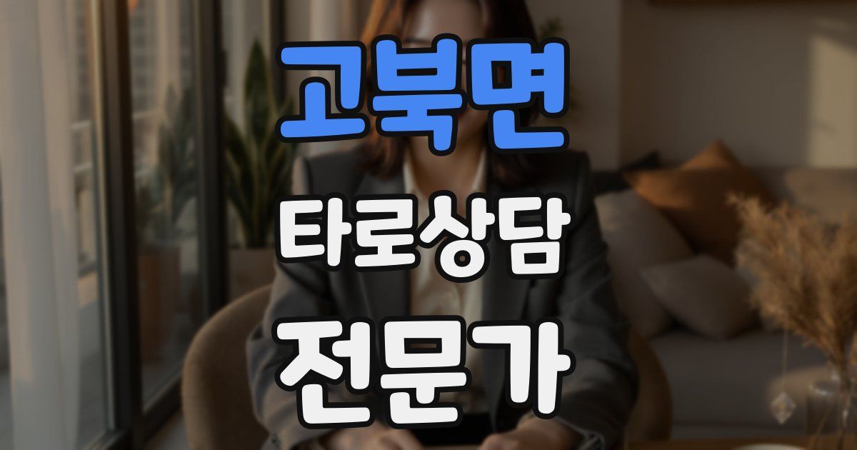 고북면 타로상담전문가 자격증