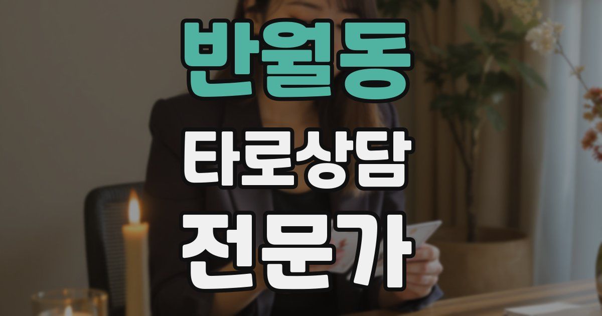 반월동 타로상담전문가 자격증