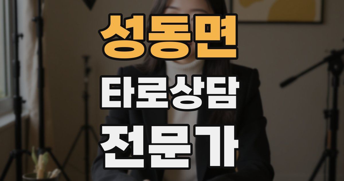성동면 타로상담전문가 자격증