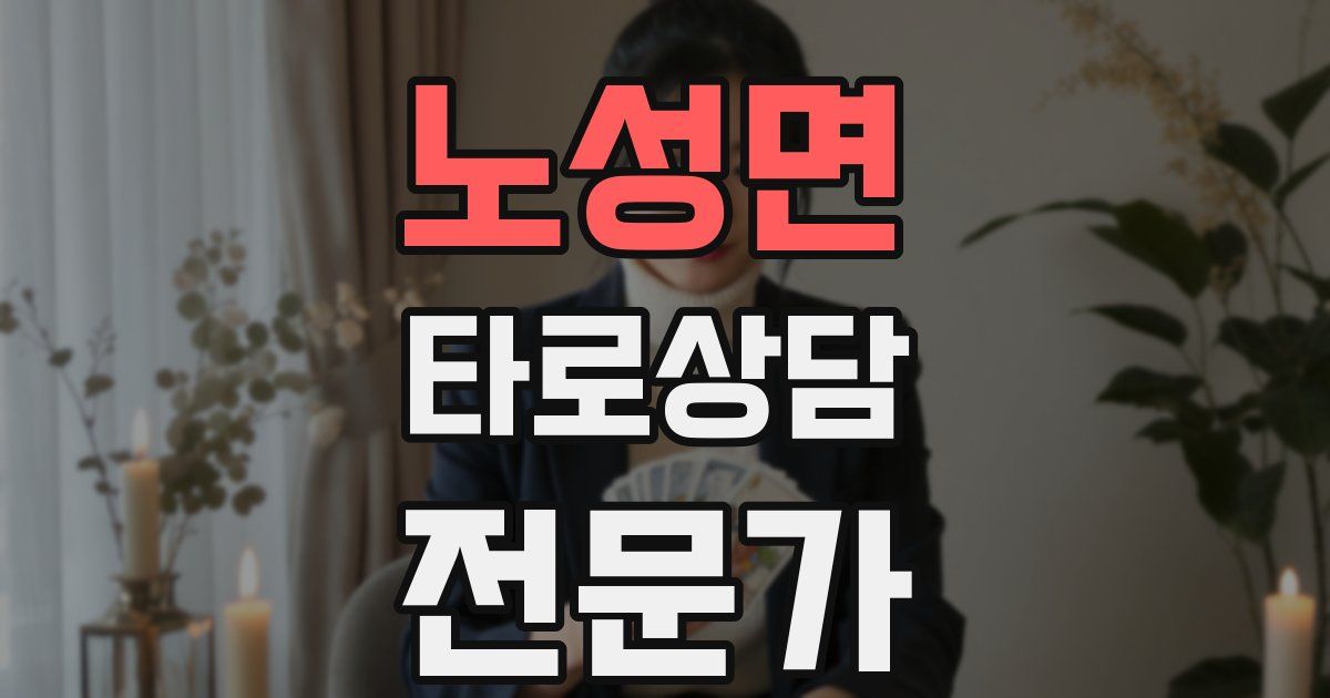 노성면 타로상담전문가 자격증