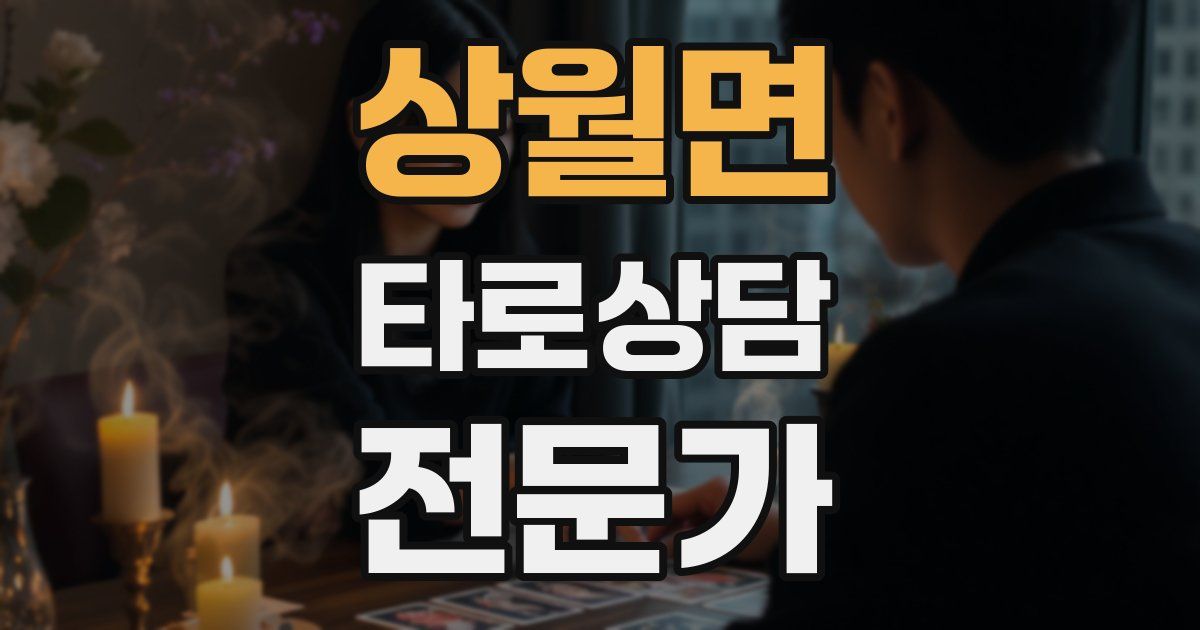 상월면 타로상담전문가 자격증