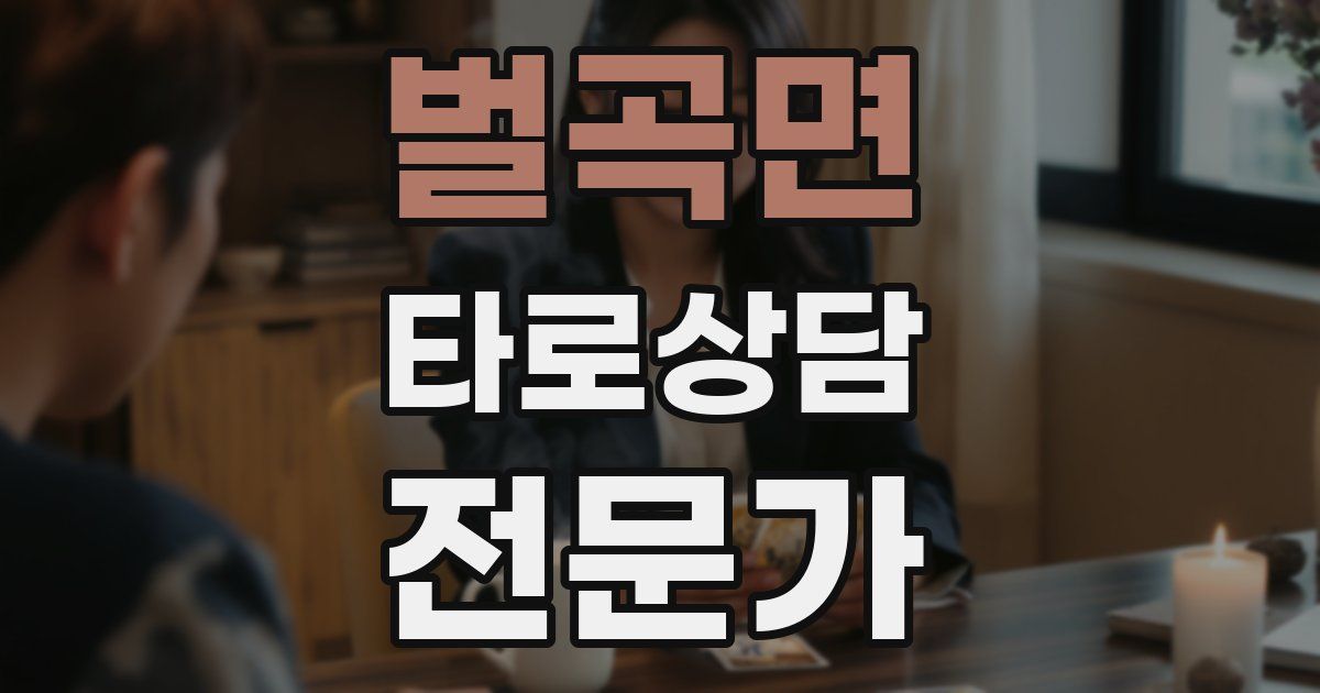 벌곡면 타로상담전문가 자격증
