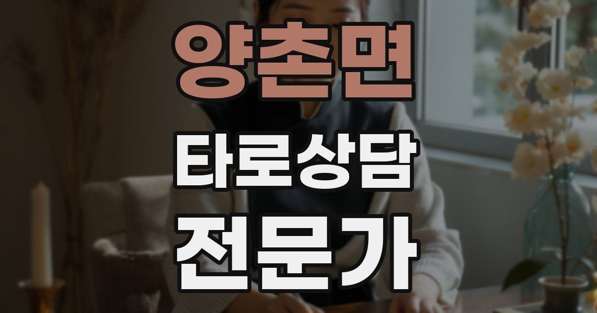 양촌면 타로상담전문가 자격증