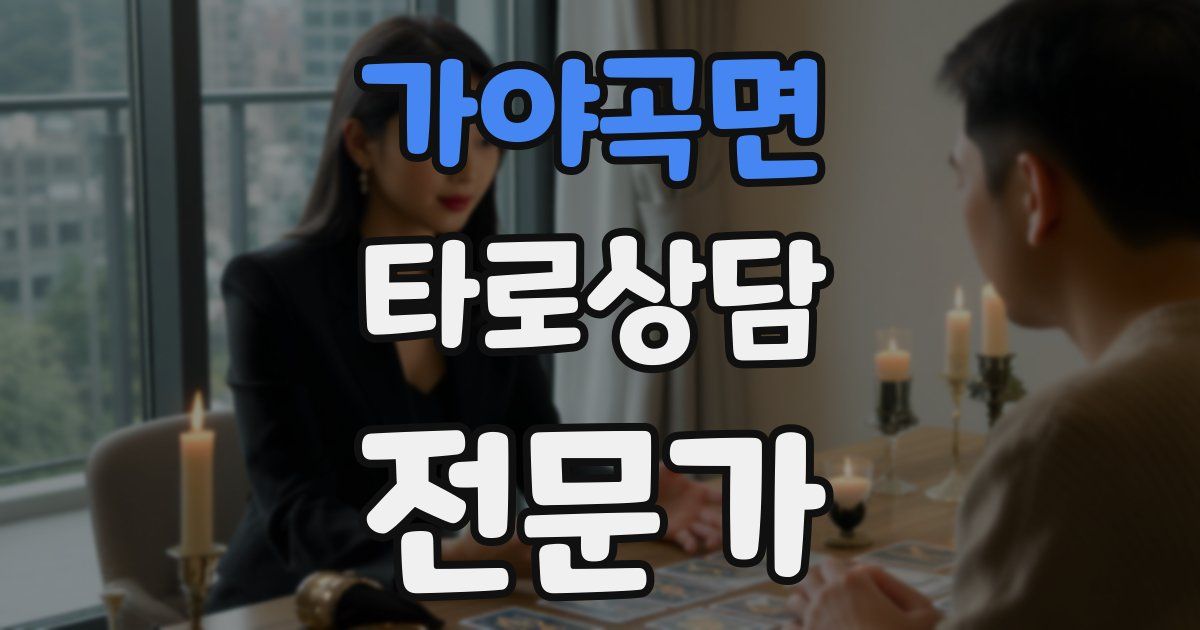 가야곡면 타로상담전문가 자격증