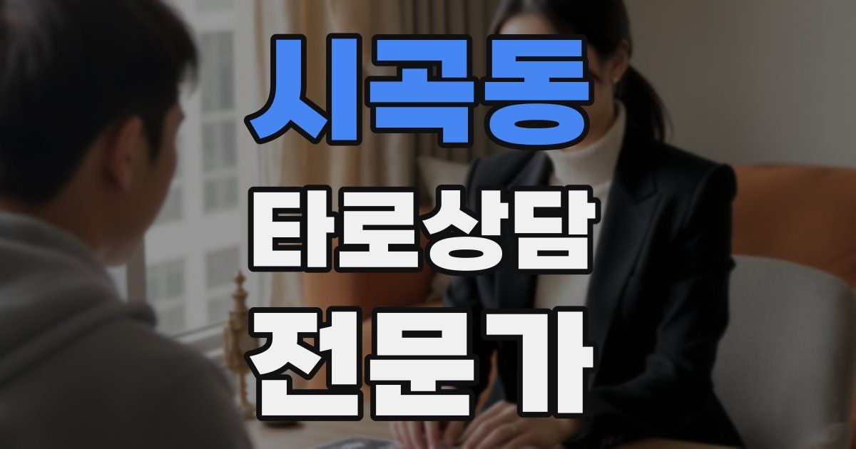시곡동 타로상담전문가 자격증