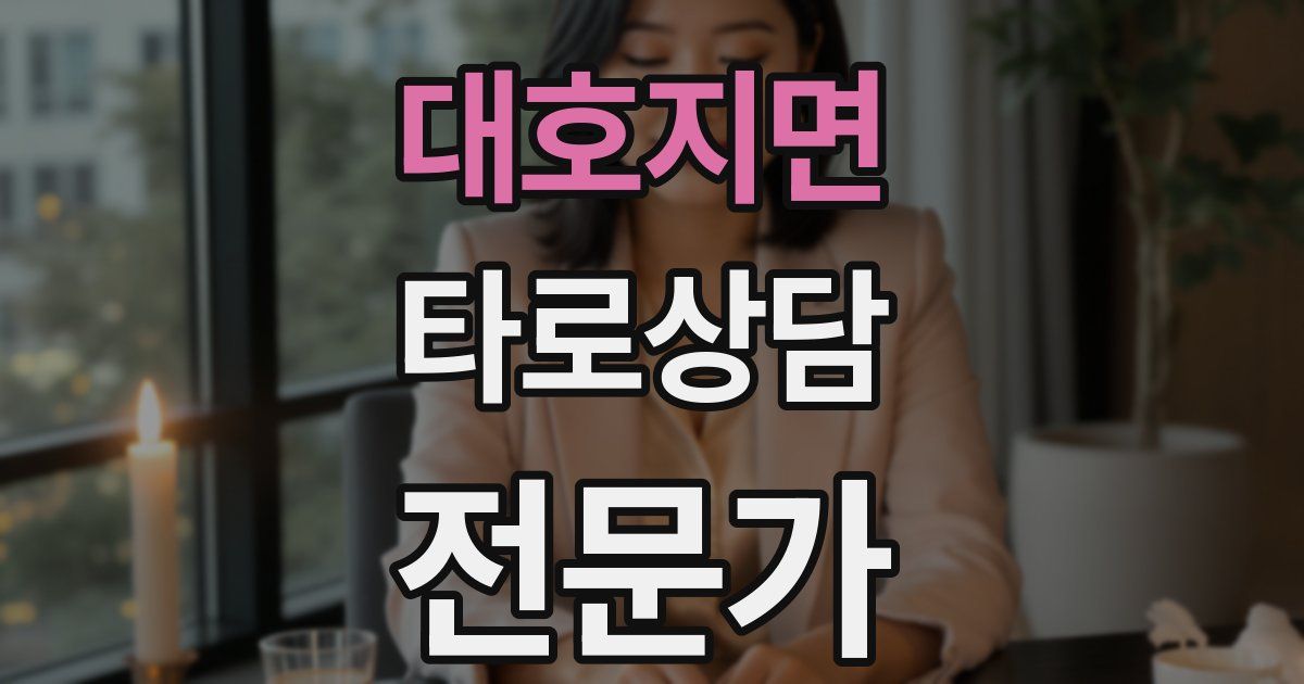 대호지면 타로상담전문가 자격증