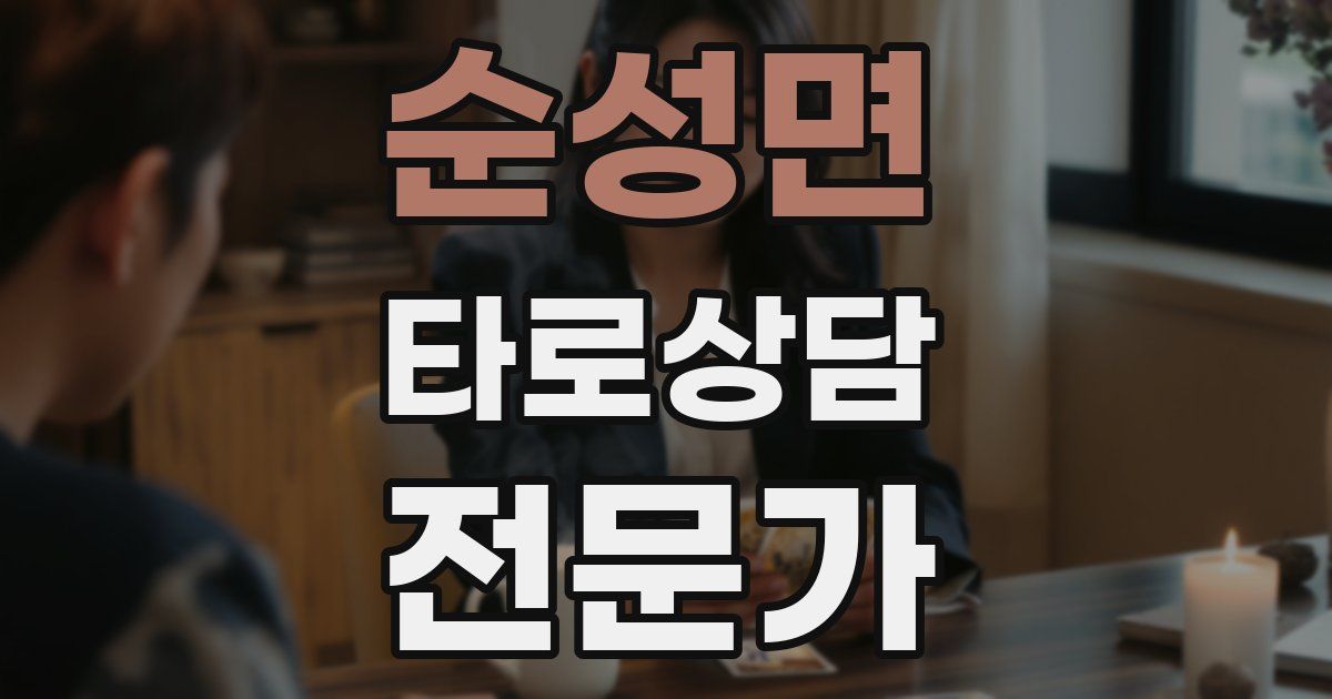 순성면 타로상담전문가 자격증
