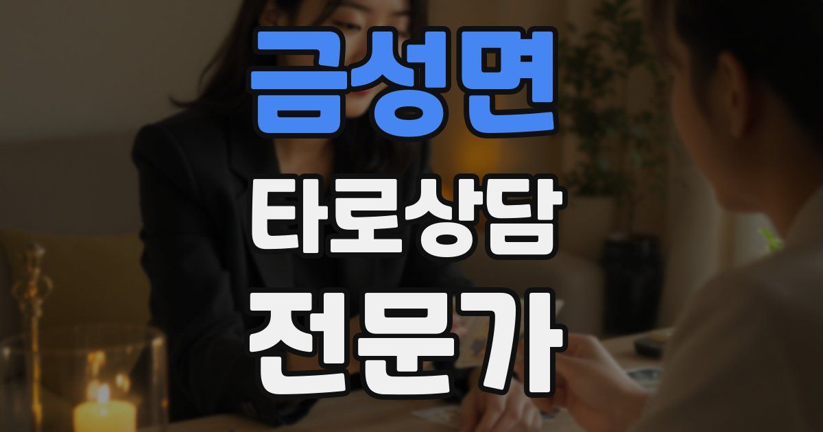 금성면 타로상담전문가 자격증