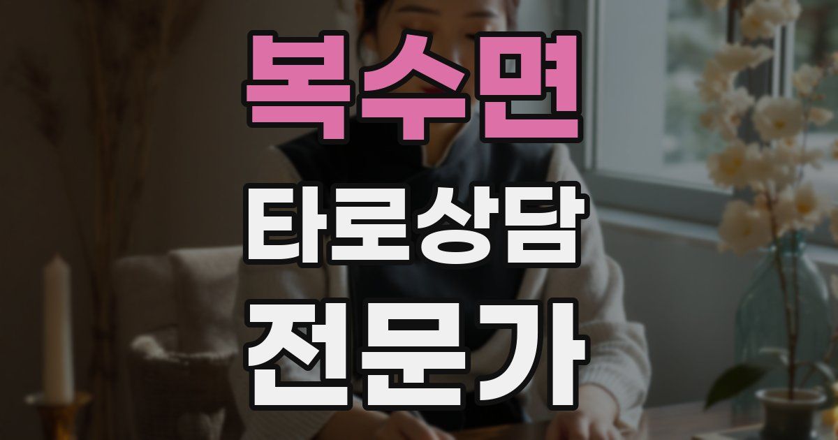 복수면 타로상담전문가 자격증