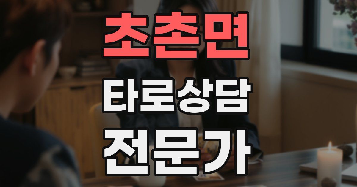 초촌면 타로상담전문가 자격증