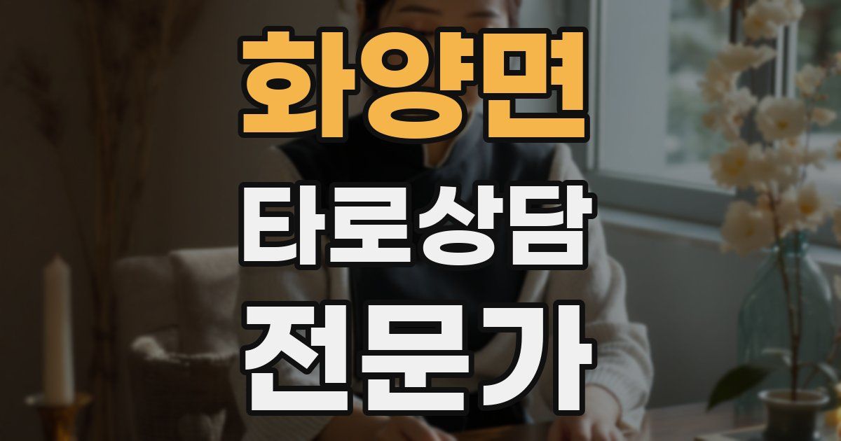 화양면 타로상담전문가 자격증