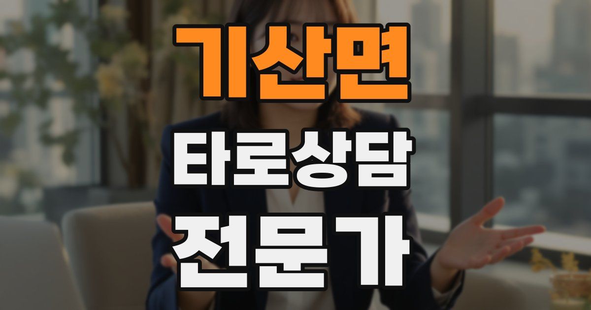기산면 타로상담전문가 자격증