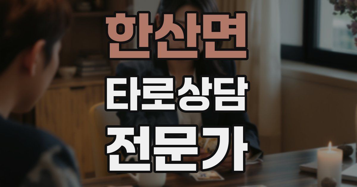 한산면 타로상담전문가 자격증