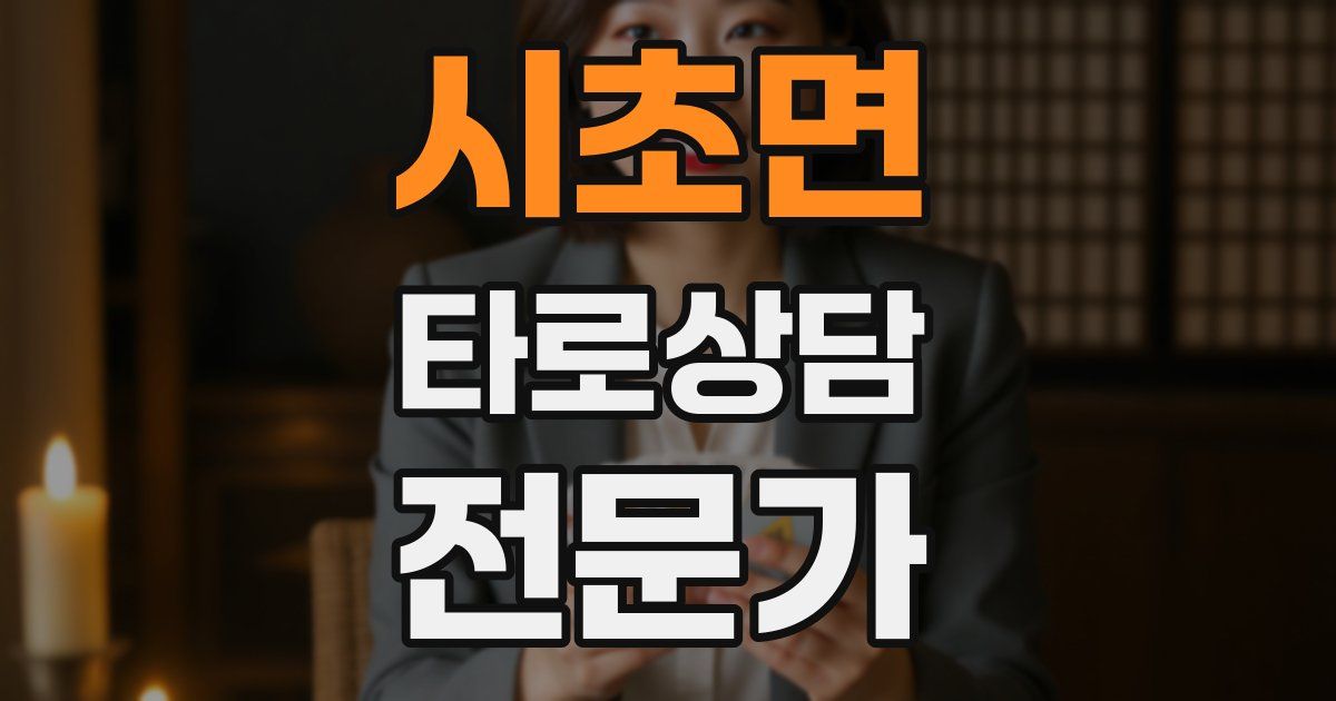 시초면 타로상담전문가 자격증
