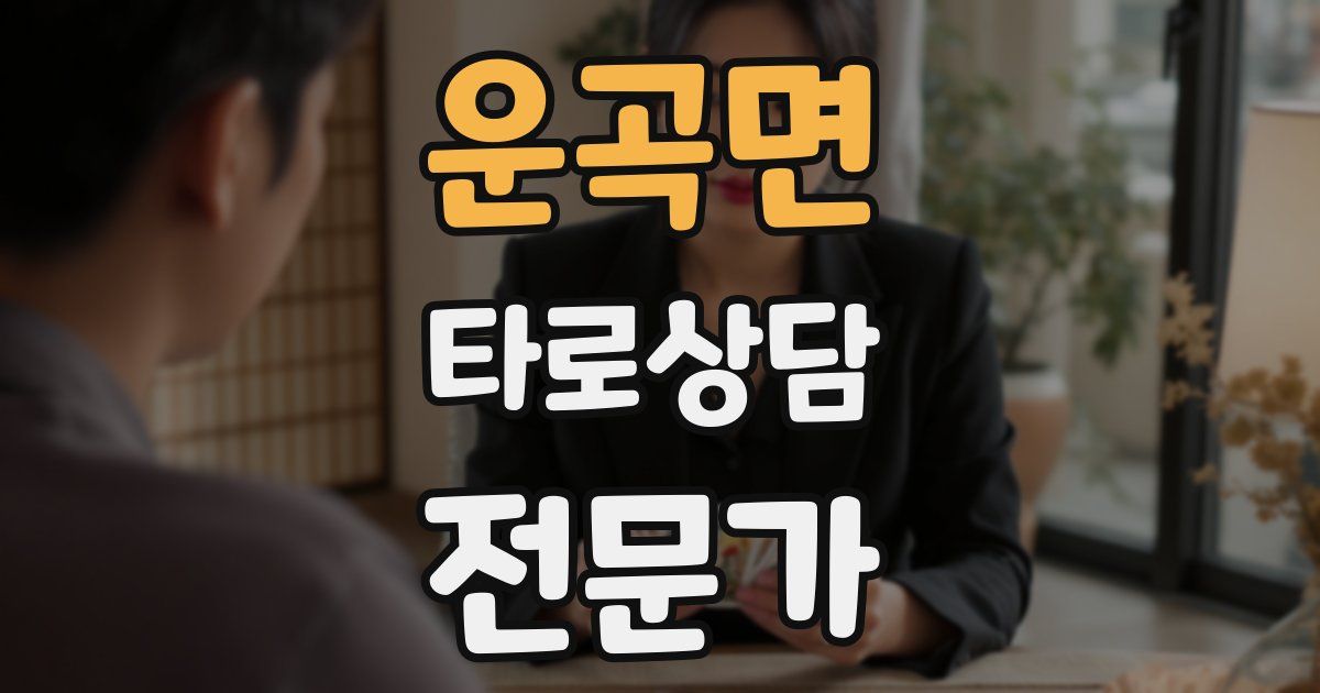 운곡면 타로상담전문가 자격증
