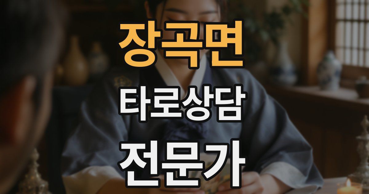 장곡면 타로상담전문가 자격증