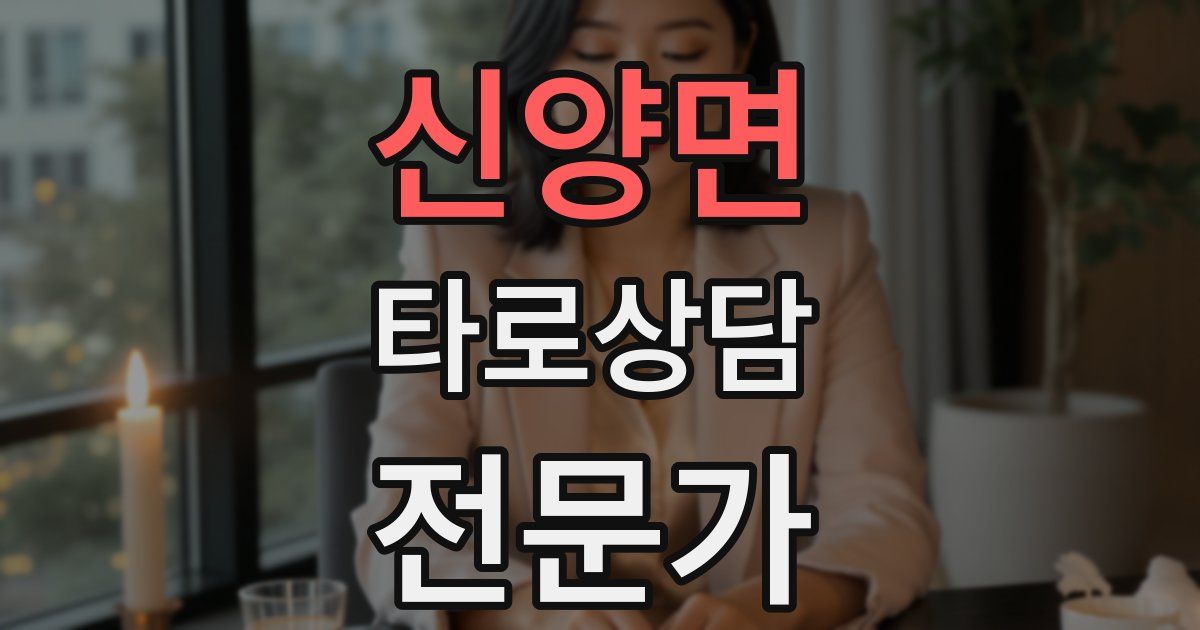 신양면 타로상담전문가 자격증