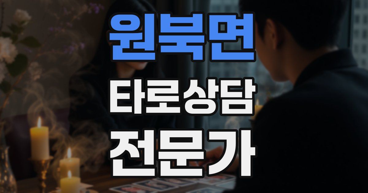원북면 타로상담전문가 자격증