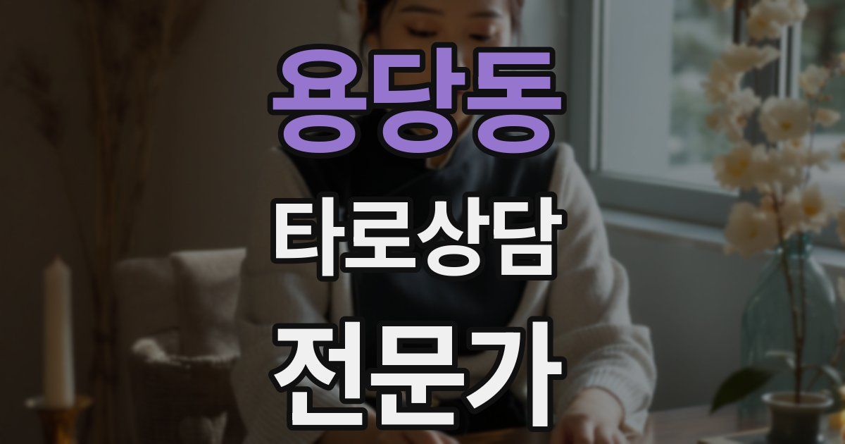 용당동 타로상담전문가 자격증