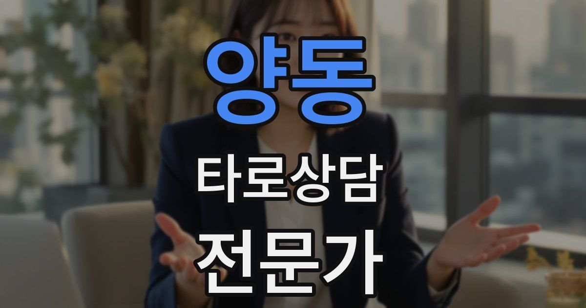 양동 타로상담전문가 자격증