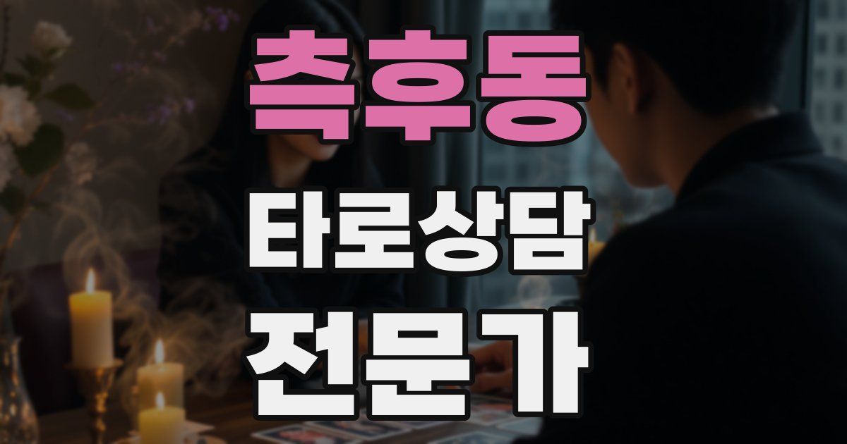 측후동 타로상담전문가 자격증