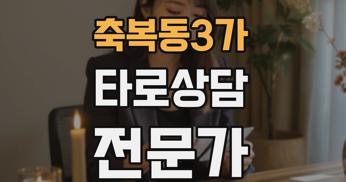 축복동3가 타로상담전문가 자격증