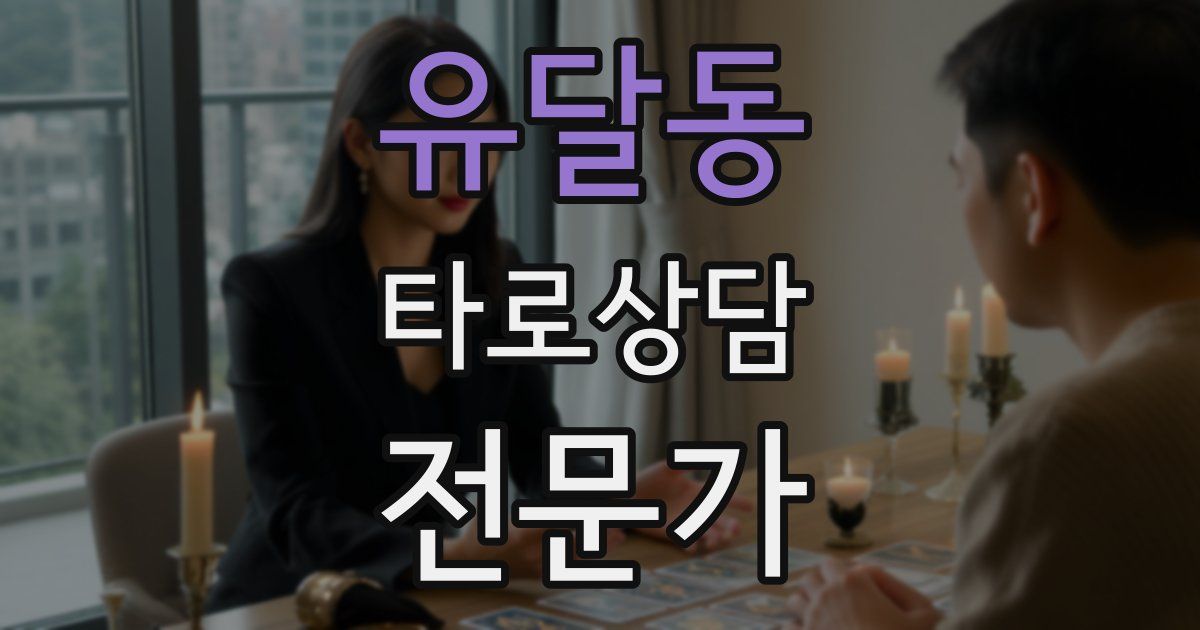 유달동 타로상담전문가 자격증