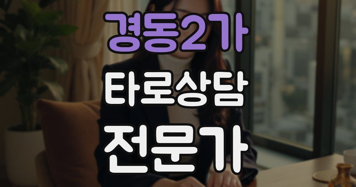 경동2가 타로상담전문가 자격증