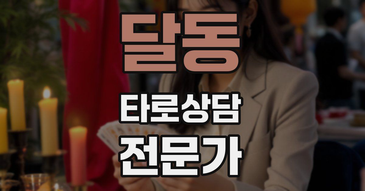 달동 타로상담전문가 자격증