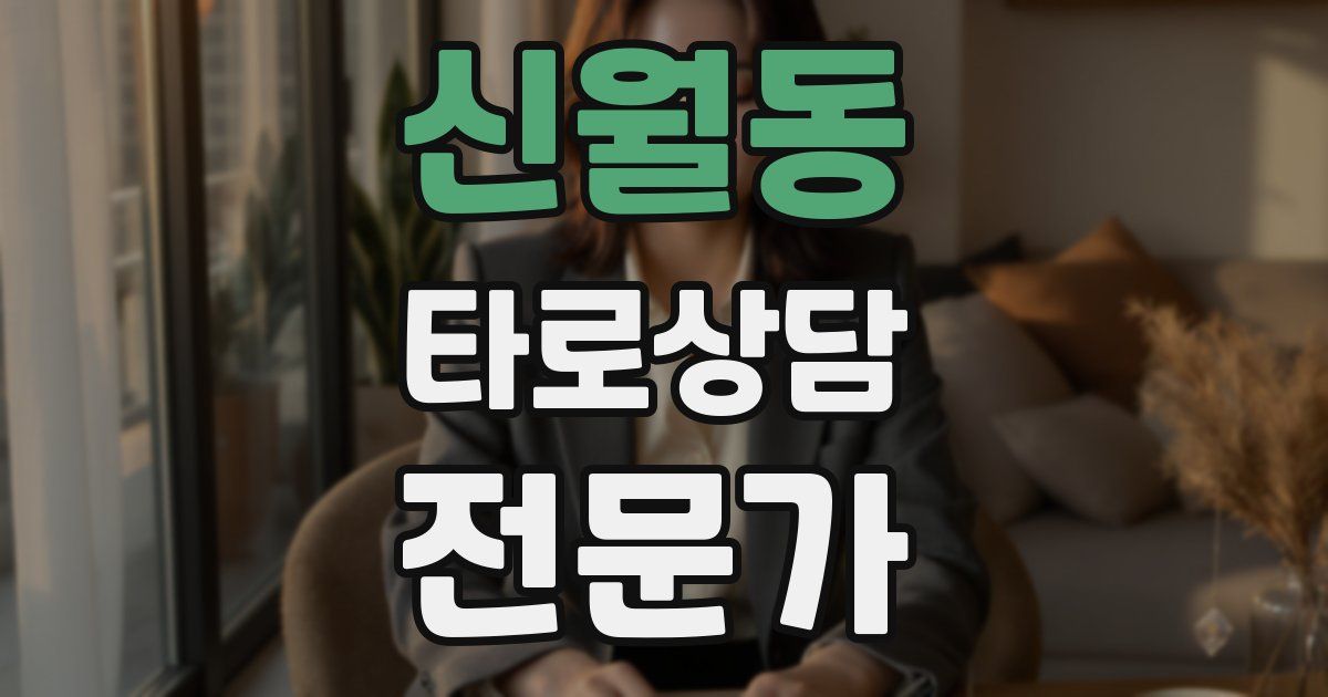 신월동 타로상담전문가 자격증