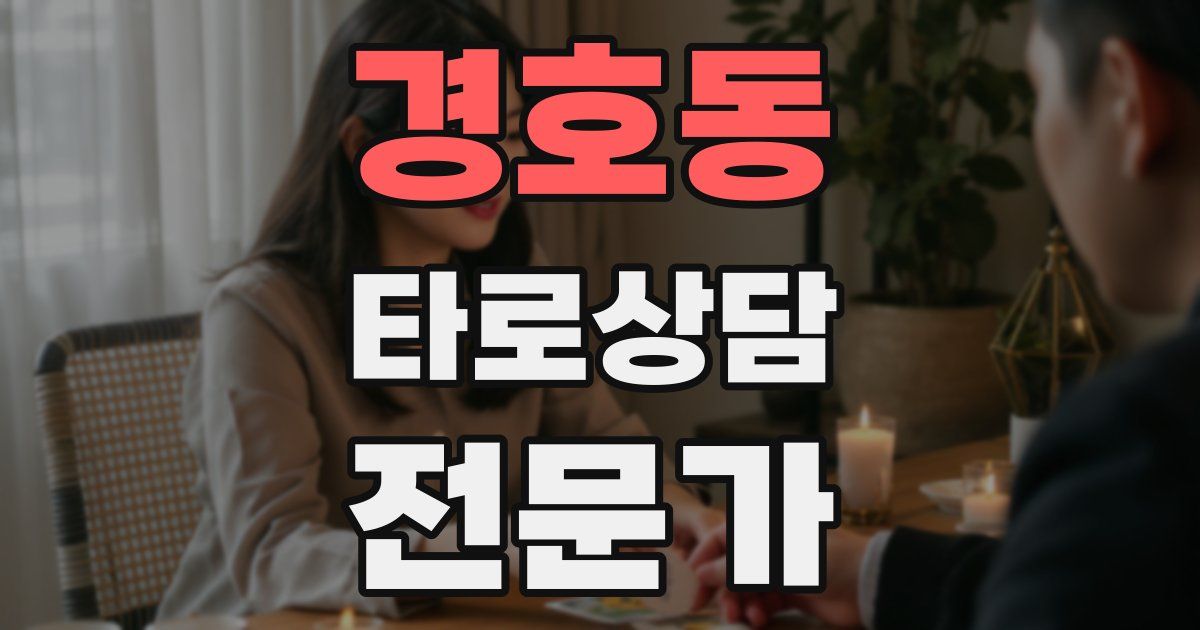 경호동 타로상담전문가 자격증