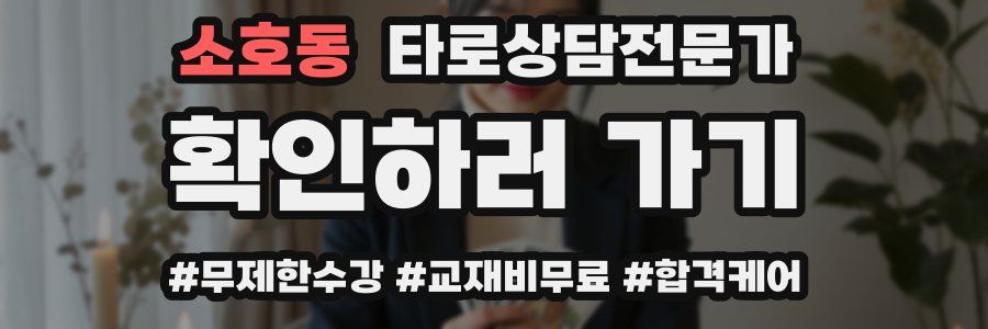 소호동 타로상담전문가 자격증