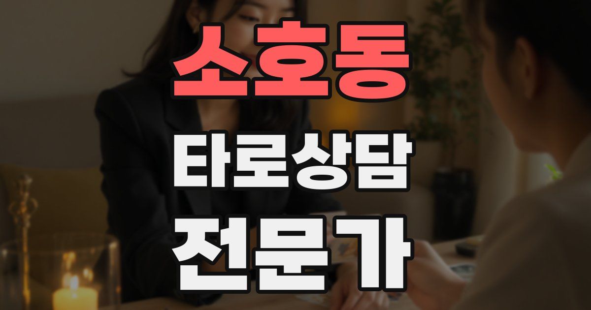 소호동 타로상담전문가 자격증