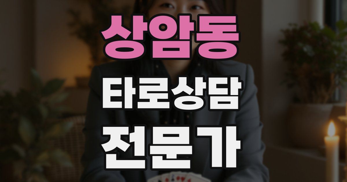 상암동 타로상담전문가 자격증